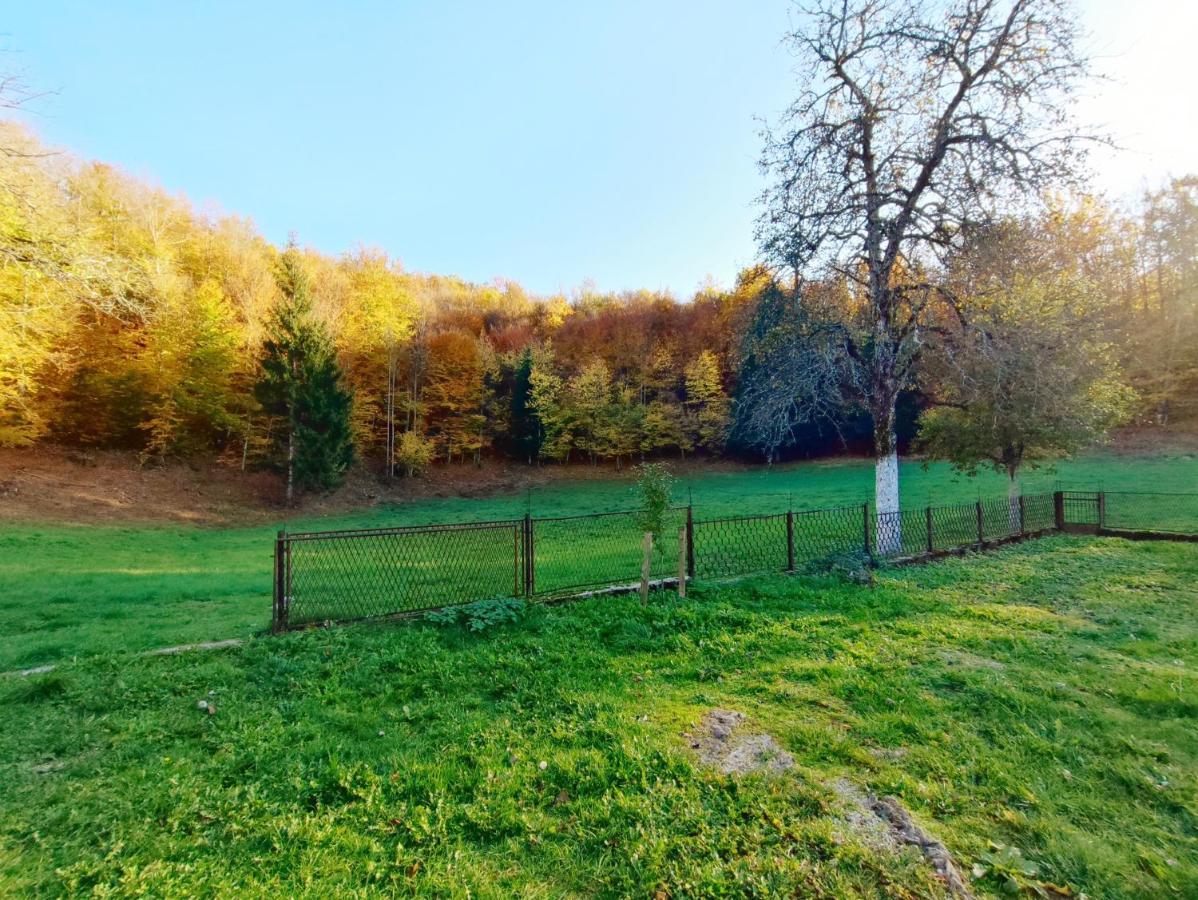 Holiday House Rukavina Donje Pazariste Zewnętrze zdjęcie